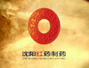 沈陽紅藥企業宣傳片